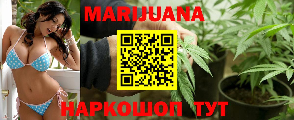 Каннабис план Коряжма